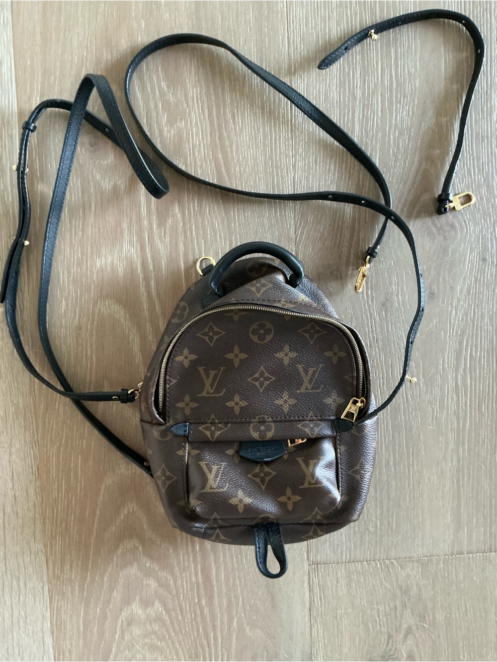 Louis Vuitton Palm Springs Monogram Mini Backpack